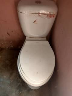 toilet