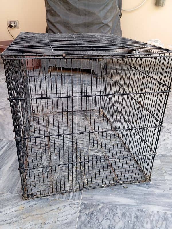 2 cage  for sale 1