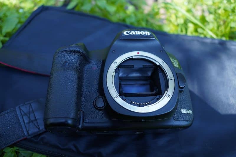 Canon 5D Mark iii  With 24  105MM L4 13