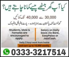 online working from home all over Pakistan