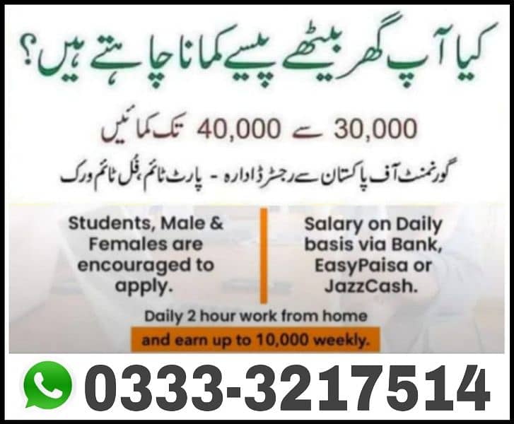 online working from home all over Pakistan 0