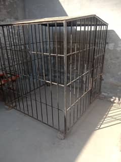 dog cage 5x5 fota