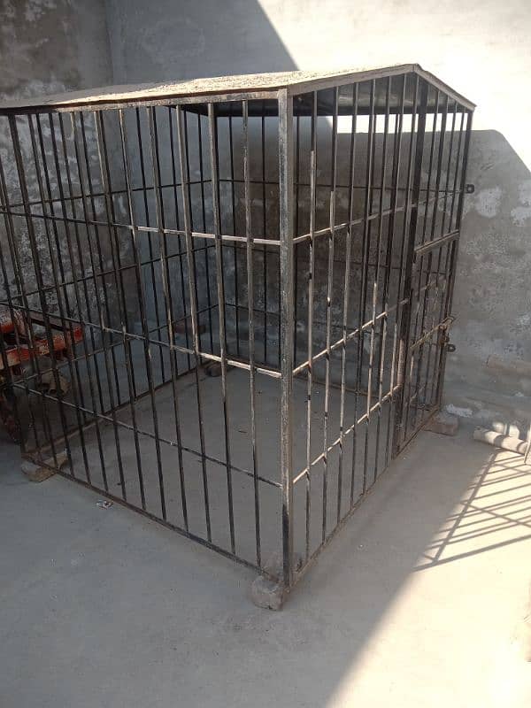 dog cage 5x5 fota 0