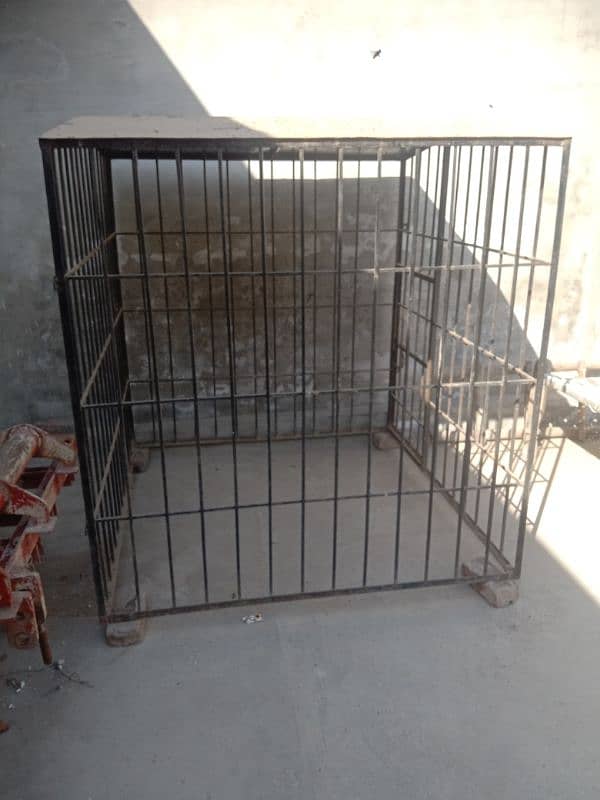 dog cage 5x5 fota 3