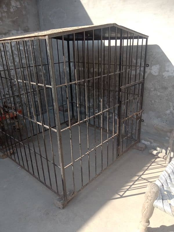 dog cage 5x5 fota 4