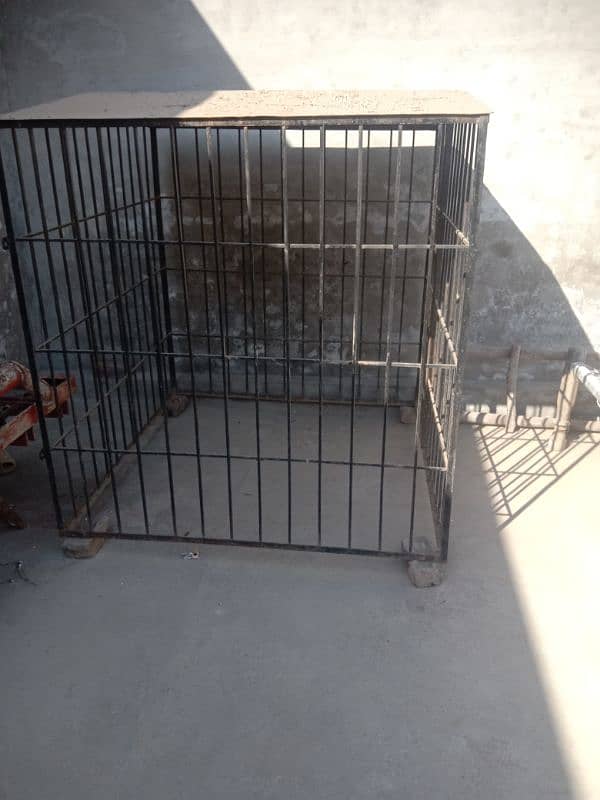 dog cage 5x5 fota 5