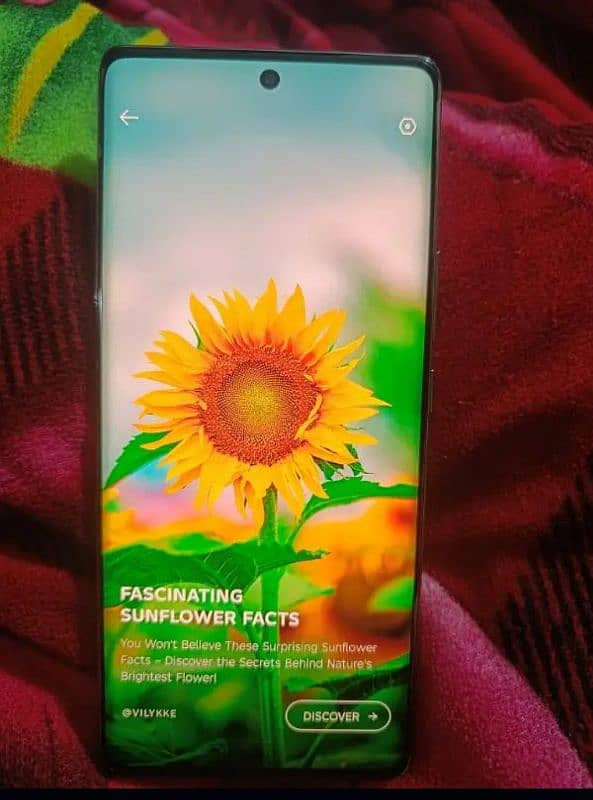 Tecno Spark 20 Pro Plus (16gb/256gb) 8