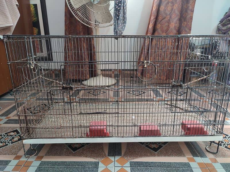 Birds Cage 2