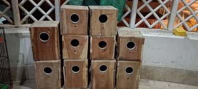 LOVEBIRD BREEDING BOX