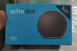 Echo