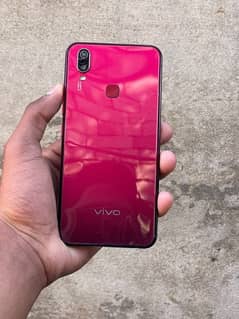 vivo