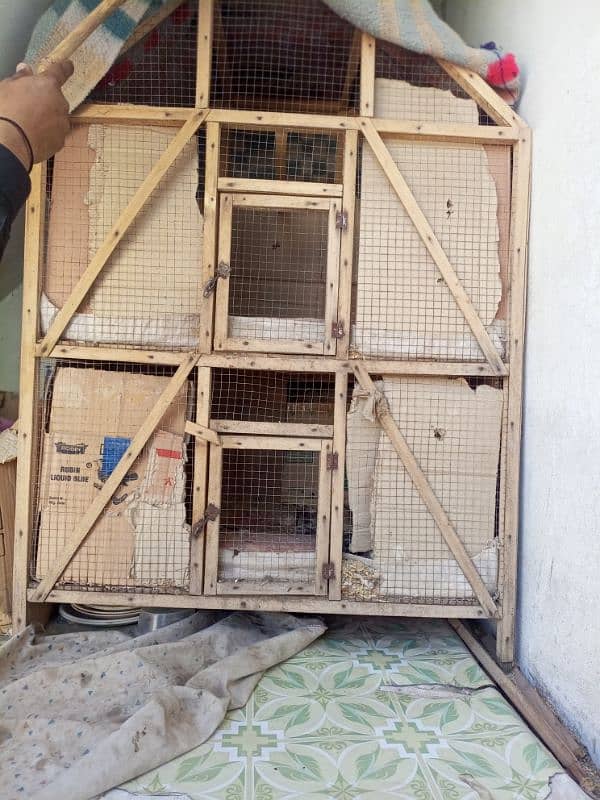 Aseel Hens full step Jawa or minawali with cage 18