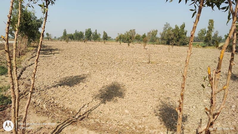 Agriculture land for sale 2