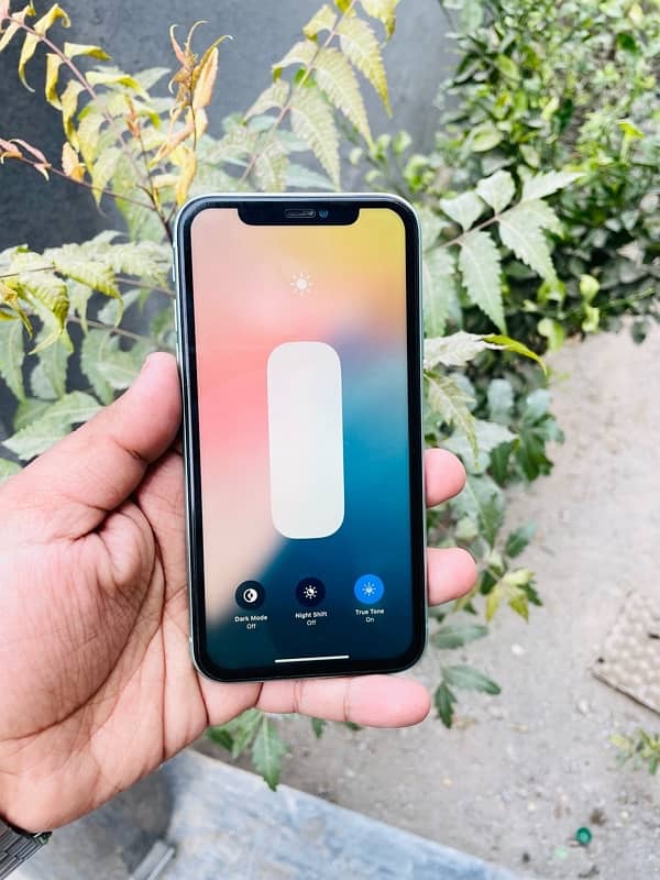 iphone 11 256gb dual sim pta approved urgent sale 2