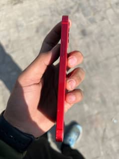 Iphone 12 - 128 gb pta approved