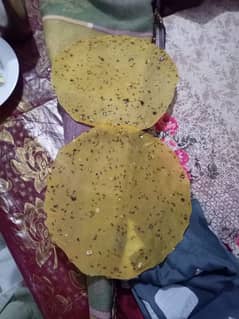 Papadh, Kheecha , Kachori