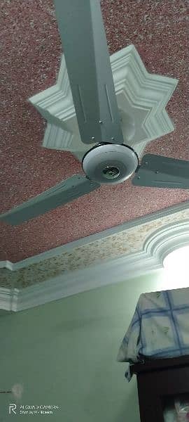 Ceiling Fan For Sale 1