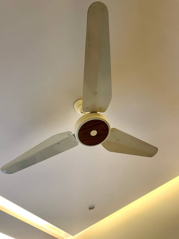 Lahore Fan Almost brand new 10/10 condition 0