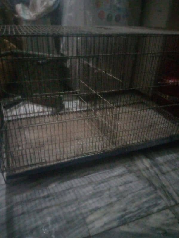 cage for sale urgent sale double potions cage 3 cage available 0