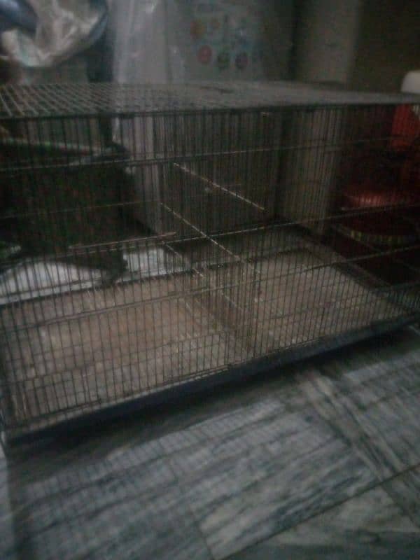 cage for sale urgent sale double potions cage 3 cage available 1