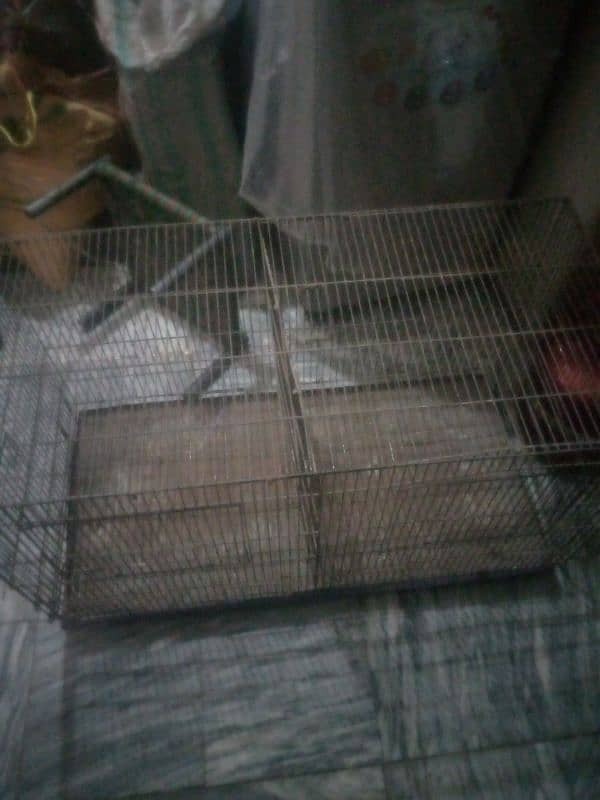 cage for sale urgent sale double potions cage 3 cage available 2