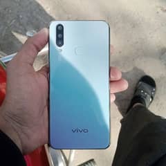 vivo