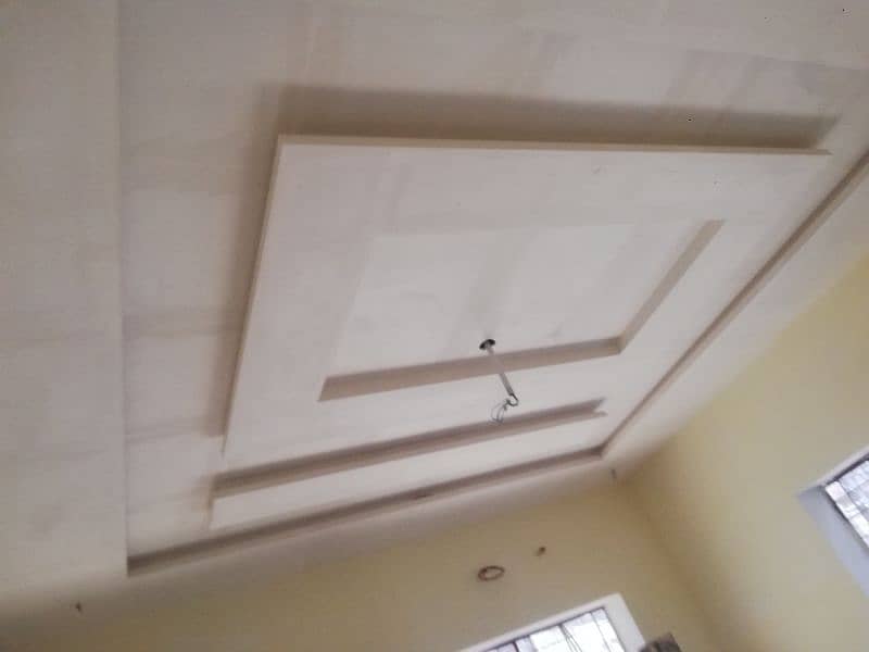 Pop Fales Ceiling 1