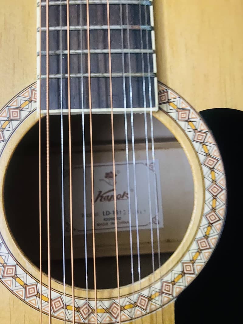 12 string brand new guitar 1