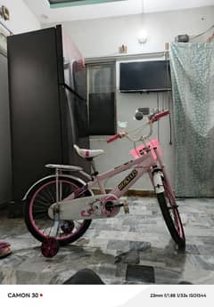 Babie Pink Cycle / tricycle