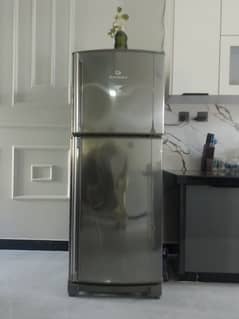 Fridge Dawlance