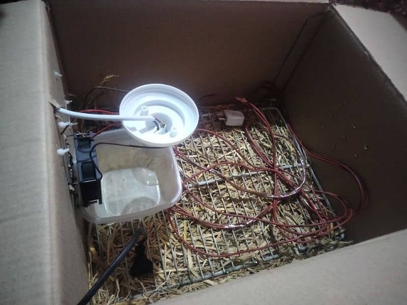 homemade incubator with temperature kit and temperature senser 3