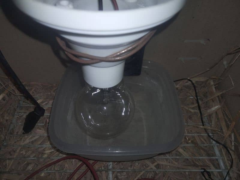 homemade incubator with temperature kit and temperature senser 4