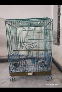 Bird  cage