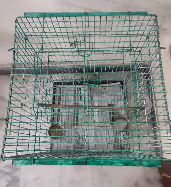 Bird  cage 2