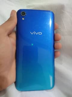 Vivo