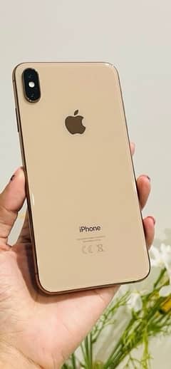 iphone xs max 512GB PTA