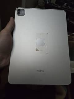 Ipad Pro 4th Gen m2 11 inch