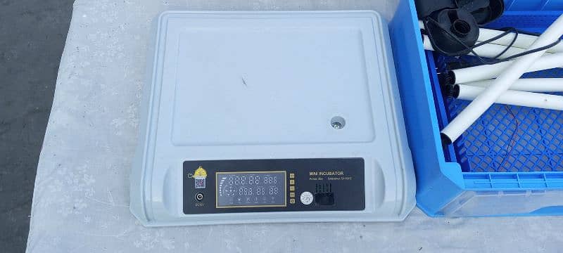 egg incubator atuomatic 2