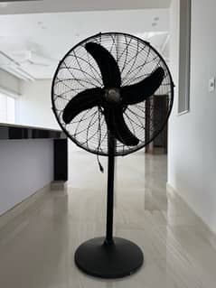 Pedestal Fans