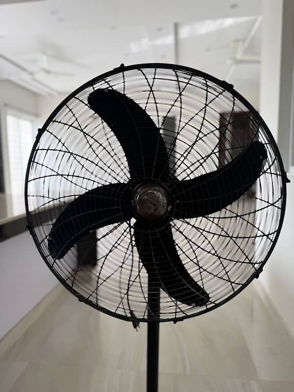 Pedestal Fans 1