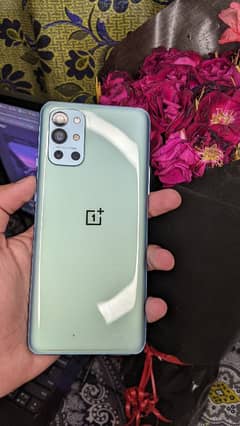 OnePlus 9R 10/10 Confition 8+128 GB