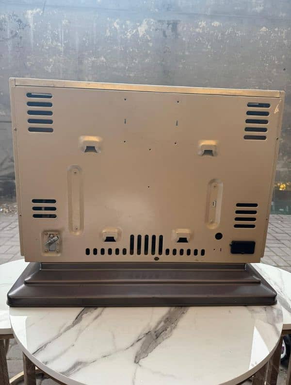 Rinnai Gas Heater 1