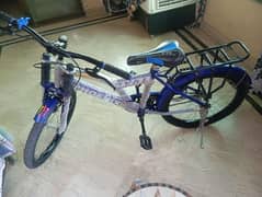 20 inch New cycle