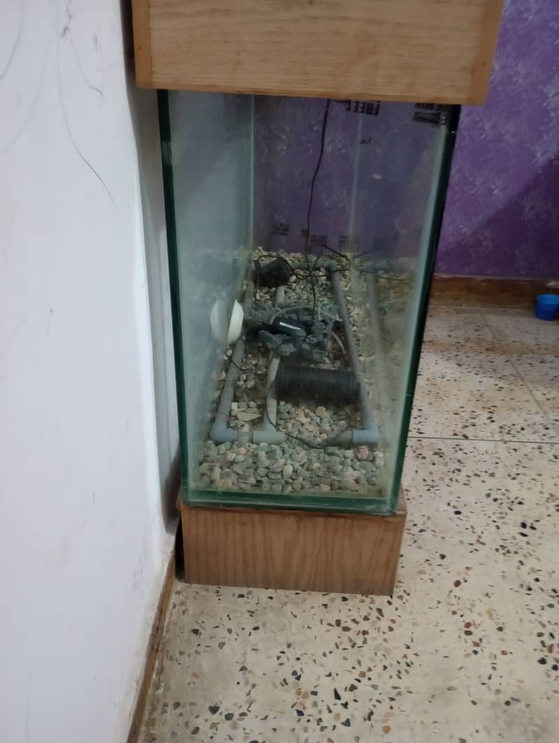 Big Size Fish Aquarium For sale 2