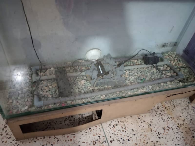 Big Size Fish Aquarium For sale 3