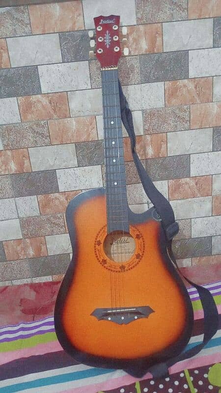 Bignar Guitar for sale 0