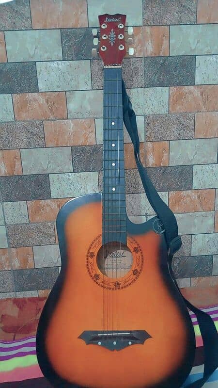 Bignar Guitar for sale 2