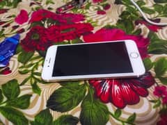 iphone 6s 64gb now pta full original