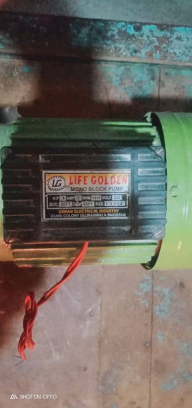 Life Golden 1