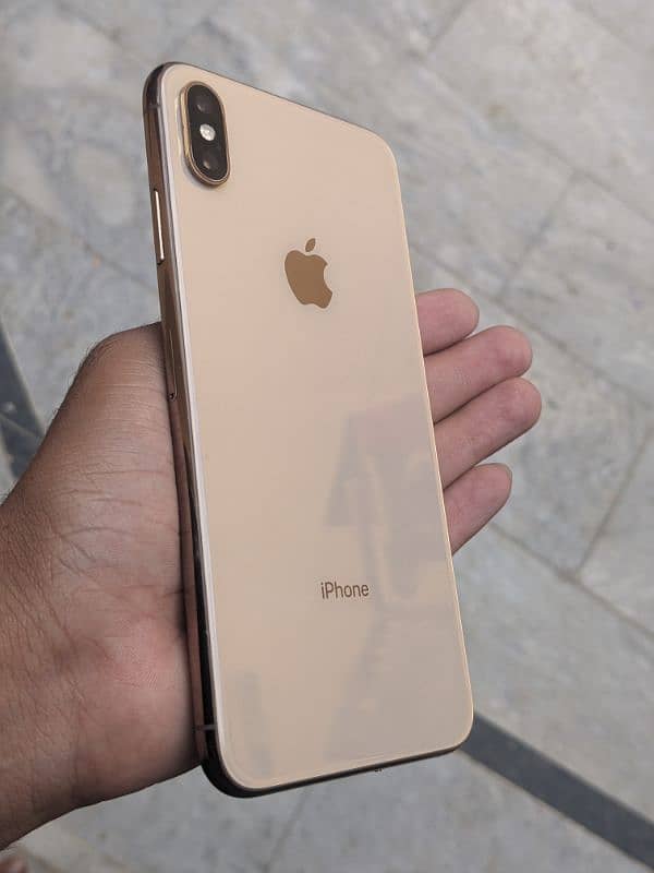 xs max 256 gb fu 1